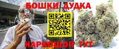 ГАЛЛЮЦИНОГЕННЫЕ ГРИБЫ Кингисепп