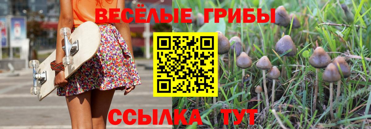 Геленджик  Псилоцибиновые грибы Psilocybine cubensis  Вход с VPN 