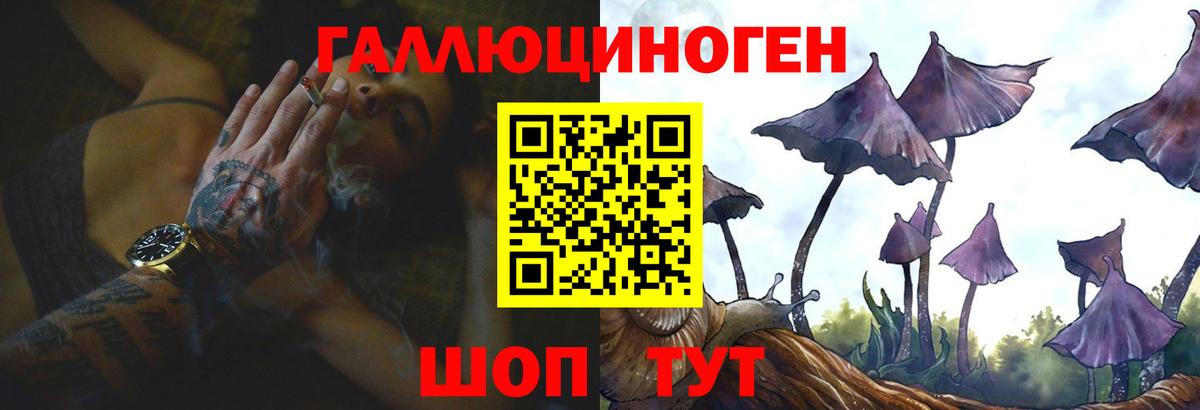 Псилоцибиновые грибы GOLDEN TEACHER Геленджик